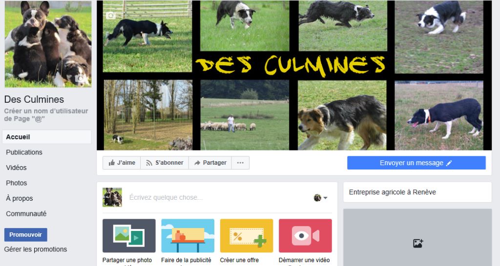 des Culmines - Facebook