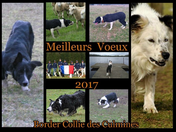 des Culmines - ....................2017..................